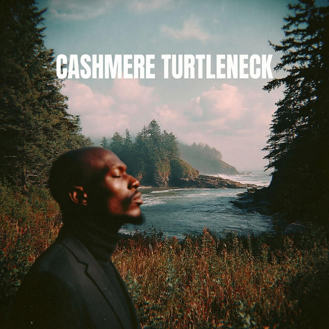 Artwork for Cashmere Turtleneck