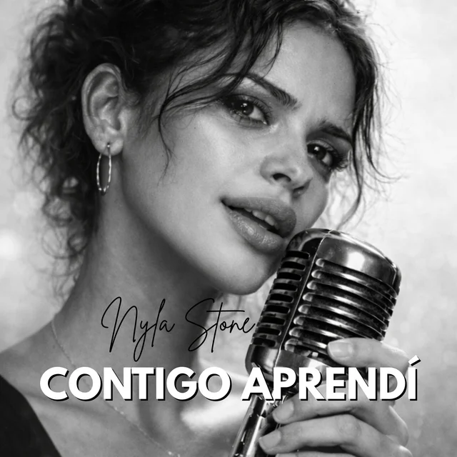 Artwork for Contigo Aprendí