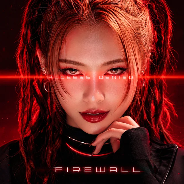 Artwork for FIREWALL