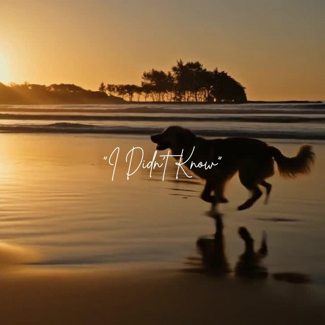 Artwork for I Didn't Know