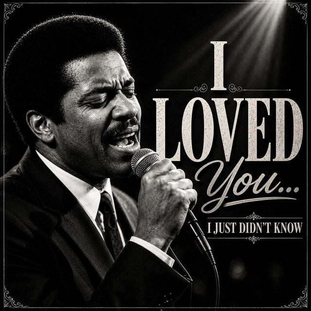 Artwork for I Loved You I Just Didn’t Know