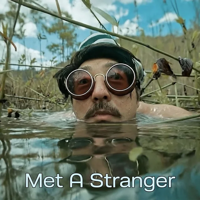 Artwork for Met a Stranger