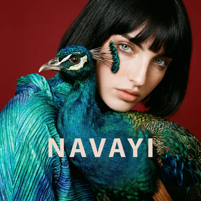 Artwork for NAVAYI