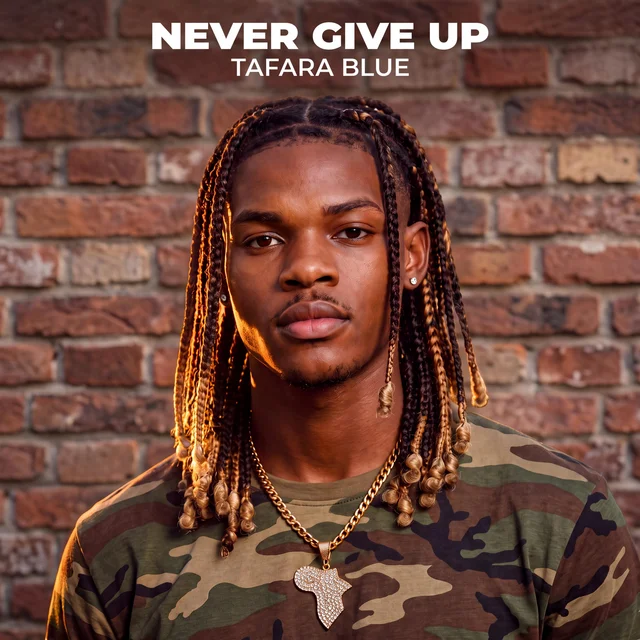 Artwork for Never Give Up