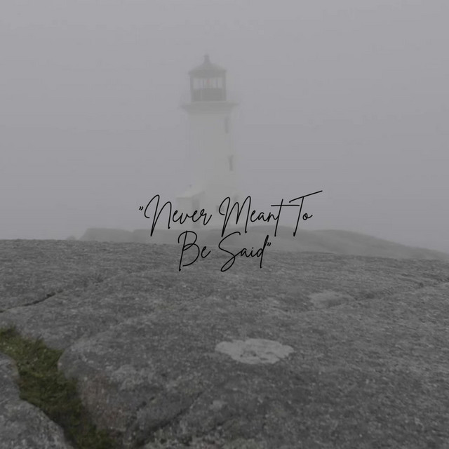 Artwork for Never Meant To Be Said