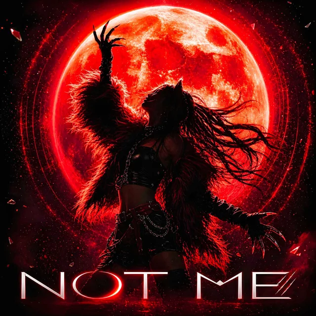 Artwork for NOT ME