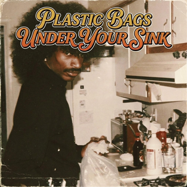 Artwork for Plastic Bags Under Your Sink