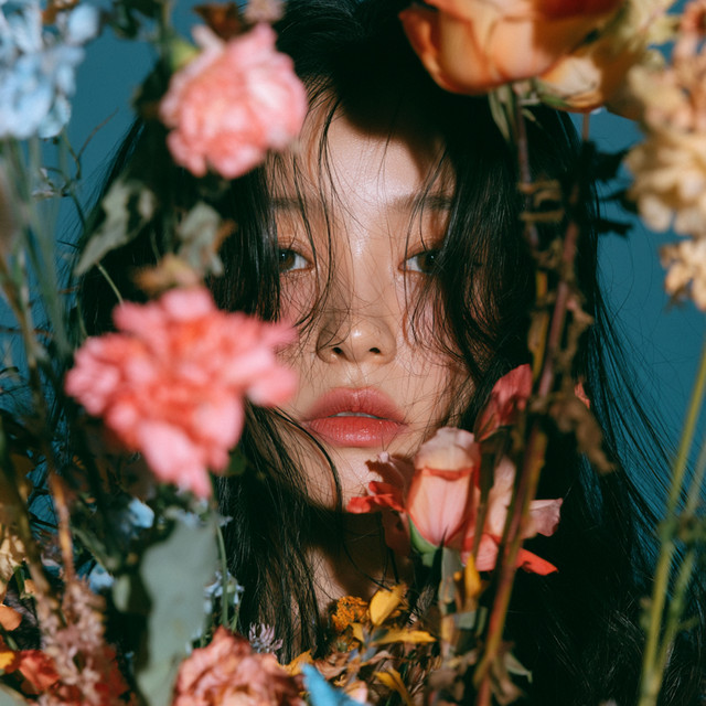 Artwork for SORRY