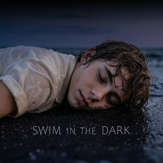 Artwork for Swim in the Dark