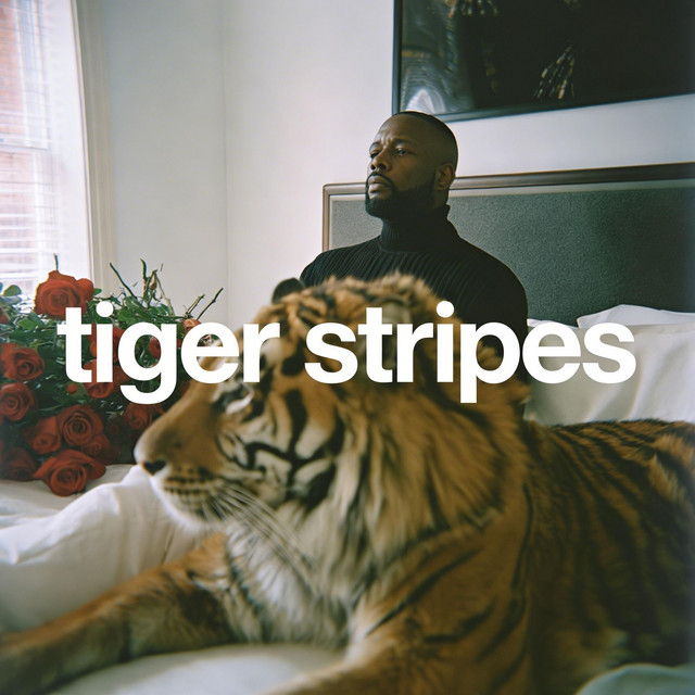 Artwork for Tiger Stripes