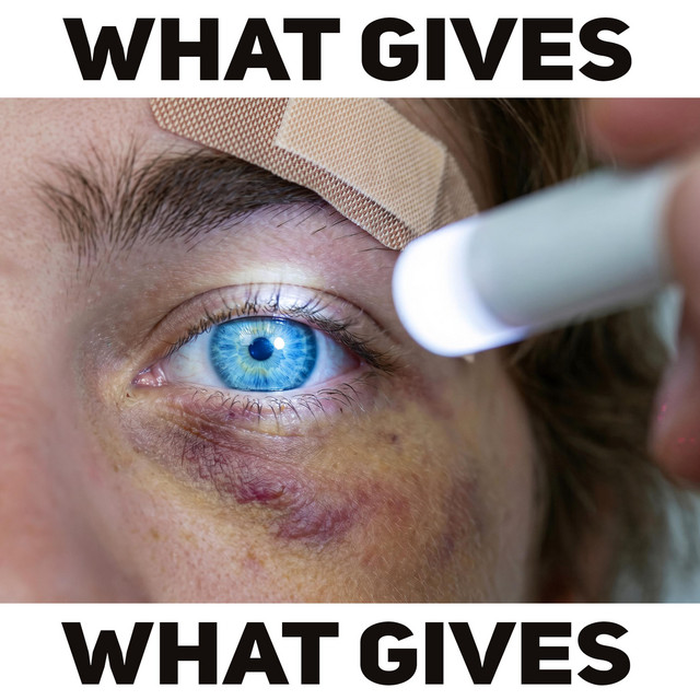 Artwork for What Gives