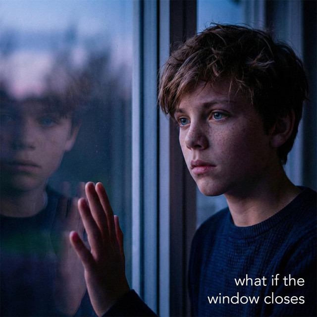 Artwork for what if the window closes