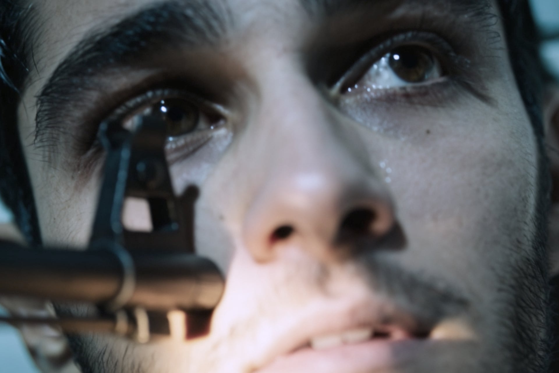 Still from Dreams of Violets