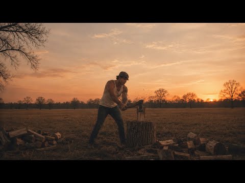 Still from Out Of The Woodworks