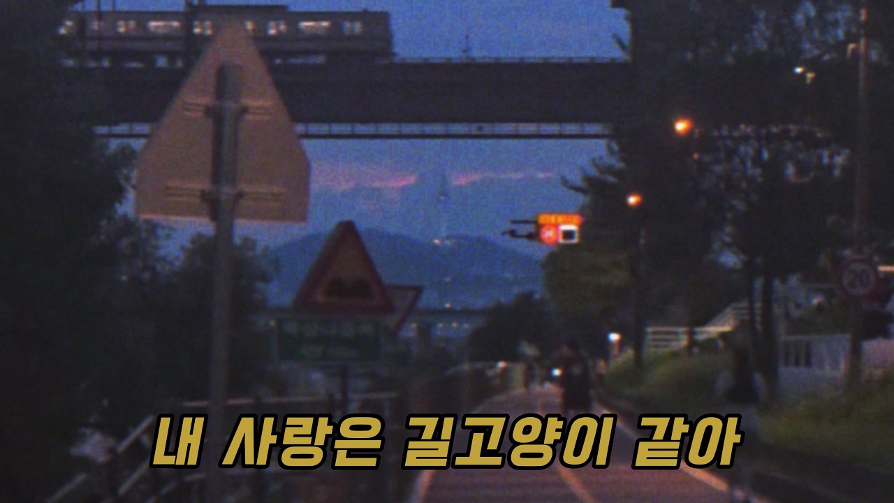 Still from Stray