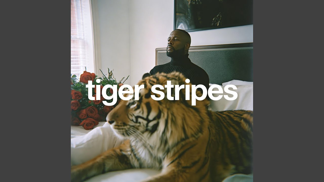Still from Tiger Stripes